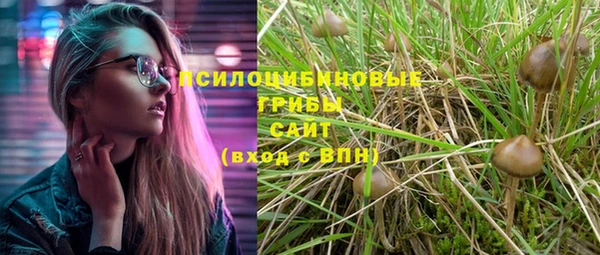 гашик Аркадак