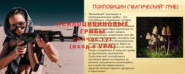 гашик Аркадак