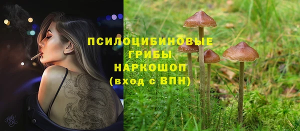 гашик Аркадак