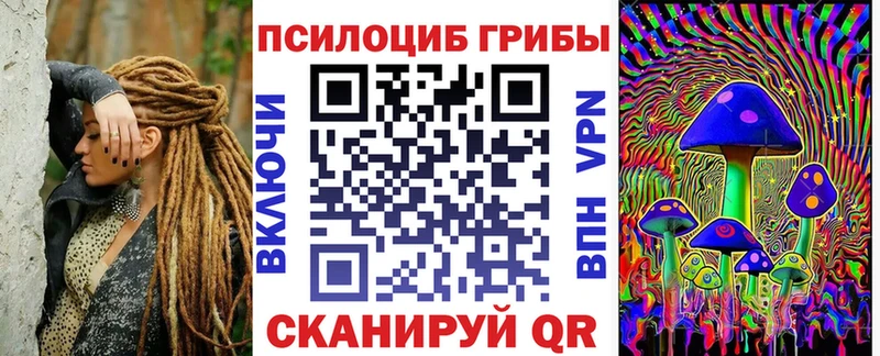 Псилоцибиновые грибы Cubensis Наро-Фоминск